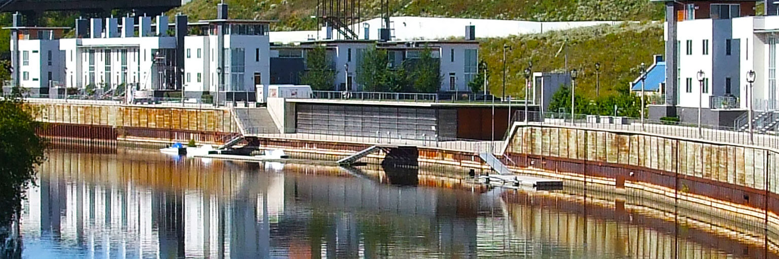 Why You Should Disconnect Your Downspout