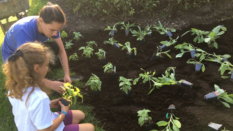 Intern planting a rain garden in the community.