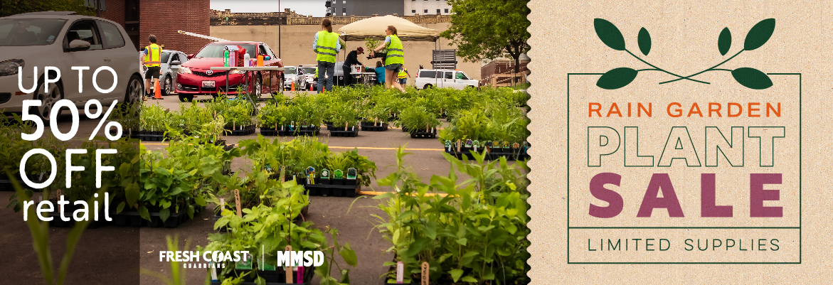 MMSD rain garden plant sale