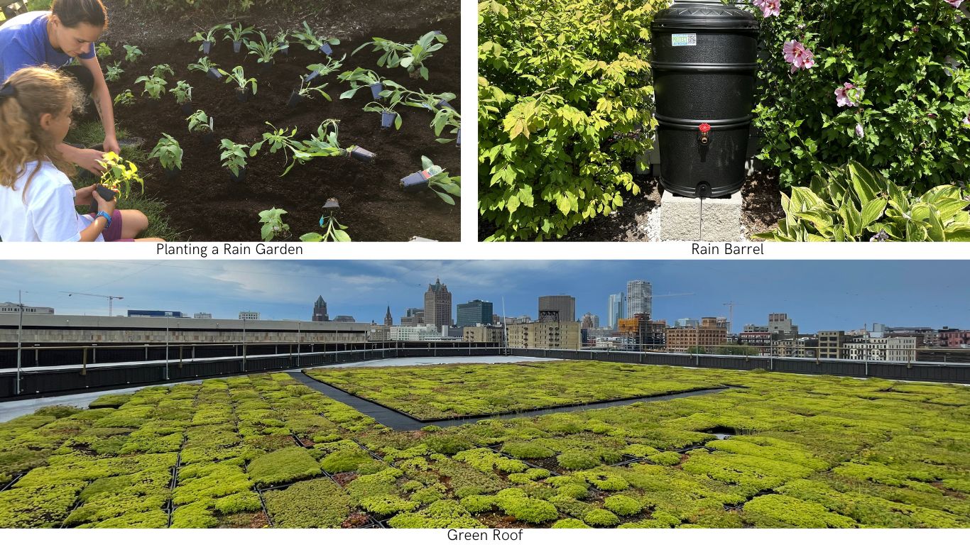 Green Infrastructure strategies like planting a rain garden, installing a rain barrel and a green roof.