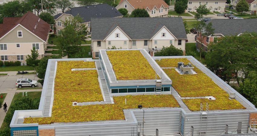 Green roof in Milwaukee