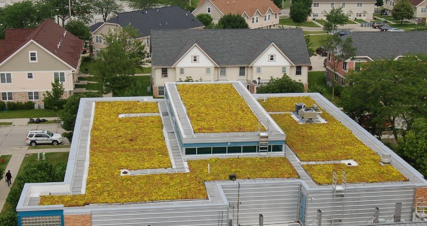 Green Roof