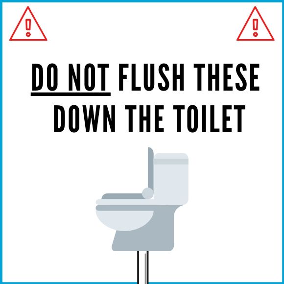 what not to flush graphic
