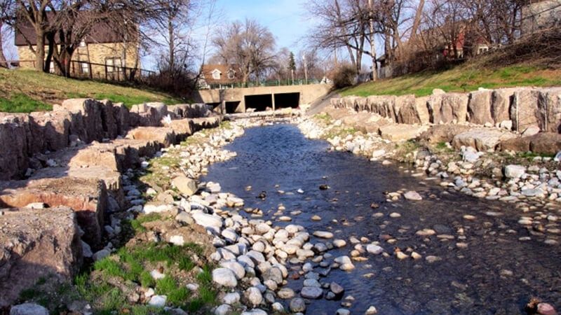 lincoln creek naturalized 