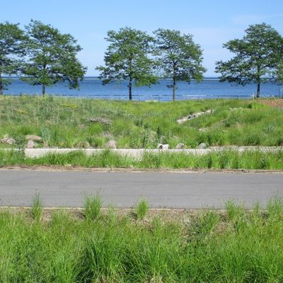 Green_Luminary_War_Memorial_bioswale_lake_michigan_400x400-min.jpg