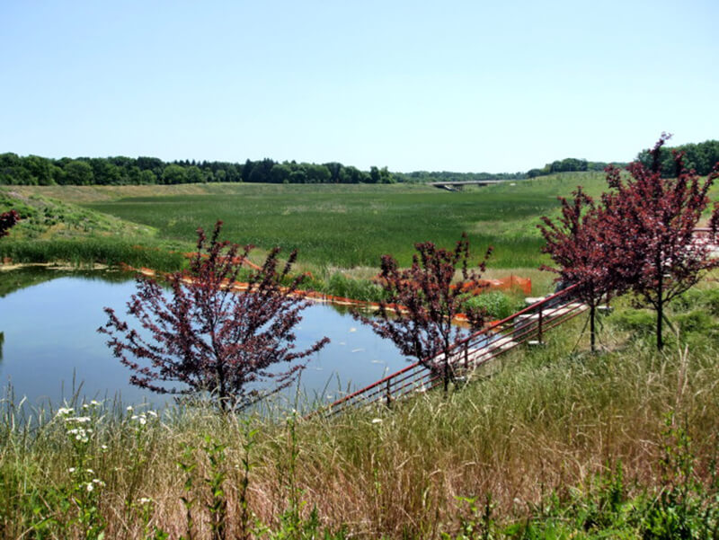 prairie grass with retention pond and plants
