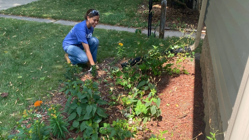 rain garden install at a home yard
