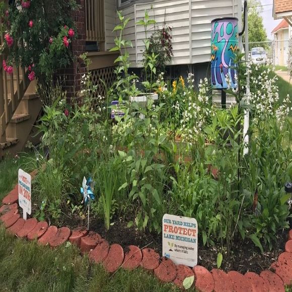 rain garden in a milwaukee yard