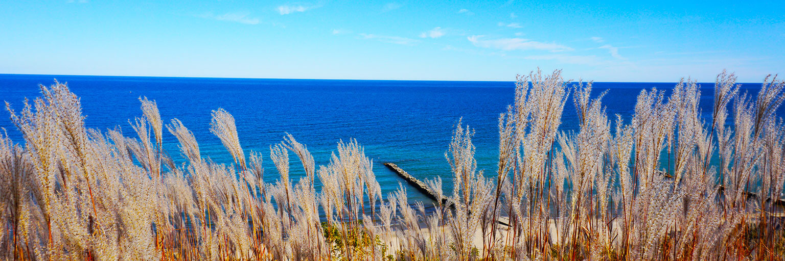 MMSD Lake Michigan