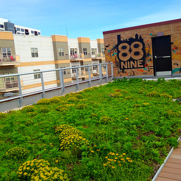 green roof on top of a third ward building in milwaukee