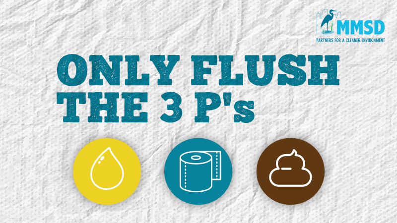Only flush the three Ps - pee, poo, toilet paper