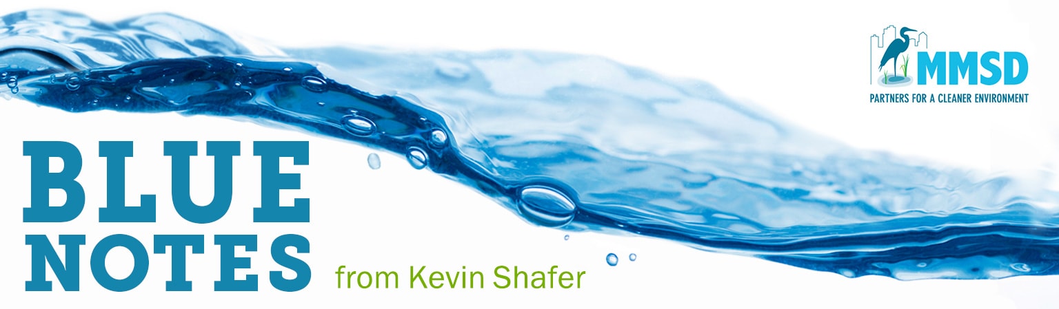 Blue Notes Newsletter from Kevin Shafer