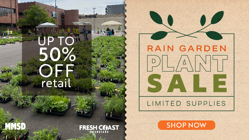 MMSD Rain Garden Plant Sale