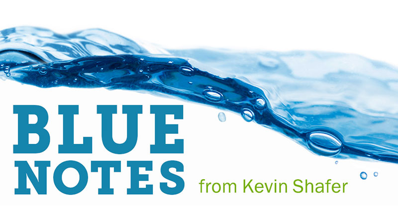 Blue Notes Newsletter from Kevin Shafer