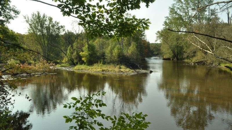 Riveredge_Nature_Center_Greeseams_800x450-min.jpg
