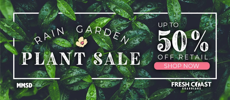 PlantSaleIdea4_800x350-min.jpg