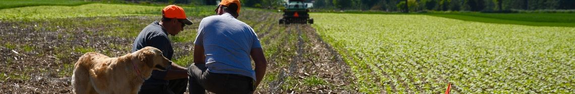 farmers and dog looking at soil in field