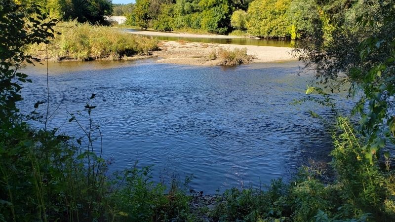 Lincoln Park Oxbow in Summer. 