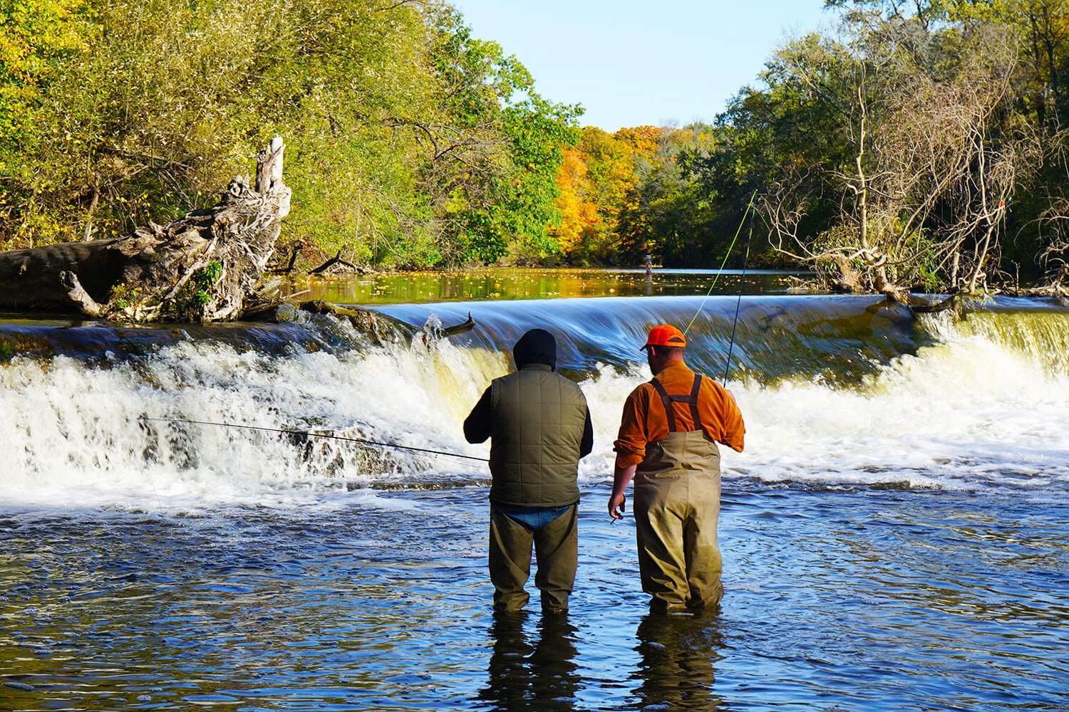 Salmon7-2017.jpg