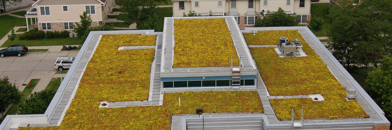 green roof on top a building