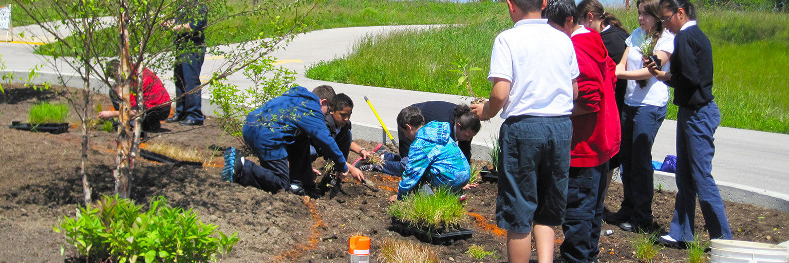 schoolchildren installing bioswales