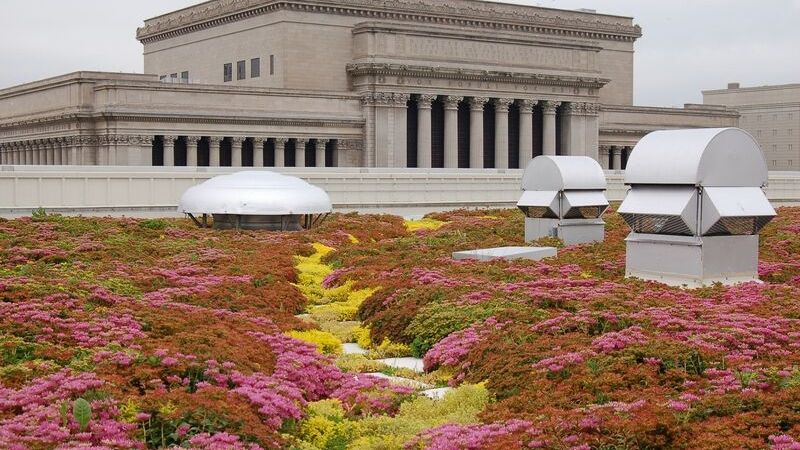 milwaukee public museum green roof