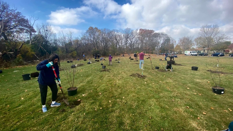 person at tabling event giving away trees