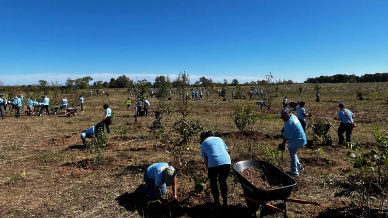 people planting trees at mequon nature preserve 