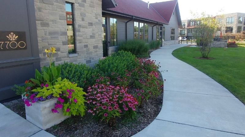 Ornamental Plantings in Front of Clubhouse