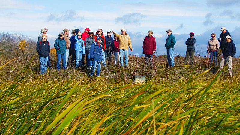 MMSD greenseams for flood management