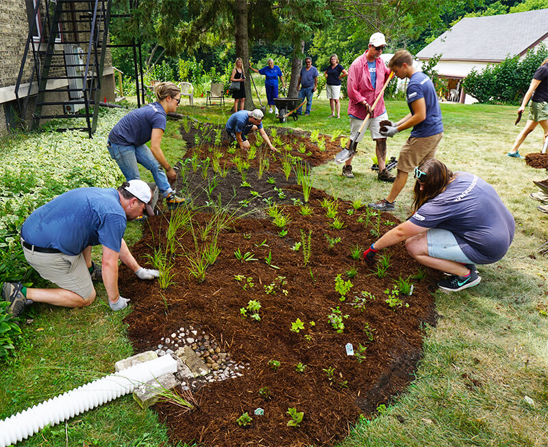 Image result for rain garden