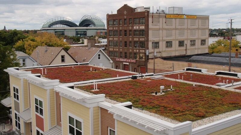 Green roof in Milwaukee