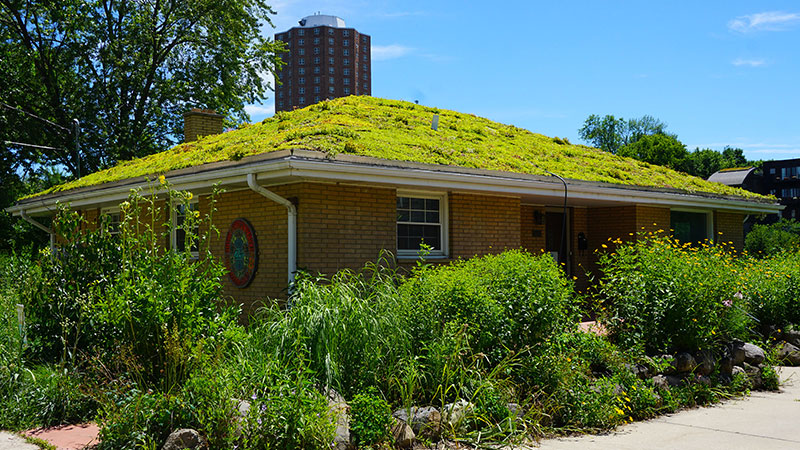 RRF-Roof-800x450.jpg