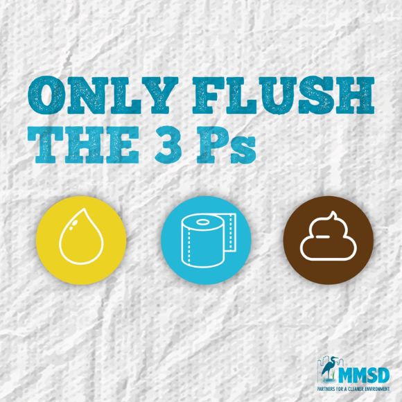Only flush the three Ps - pee, poop, toilet paper