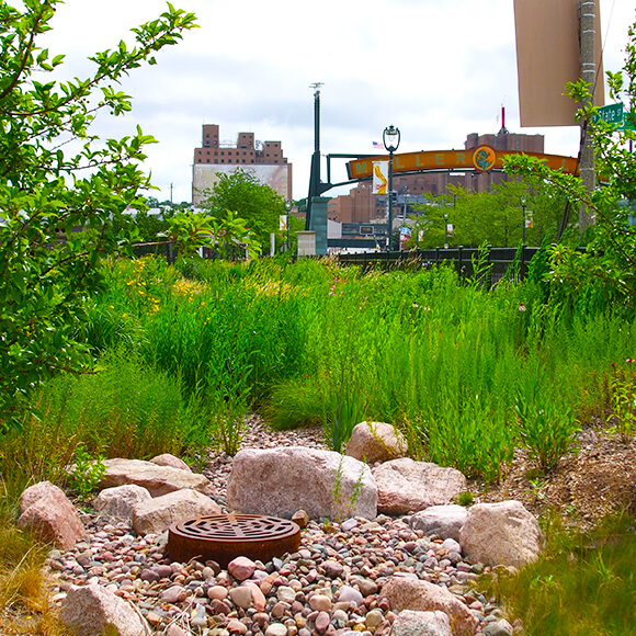 bioswale landscape in Miller Valley Milwaukee