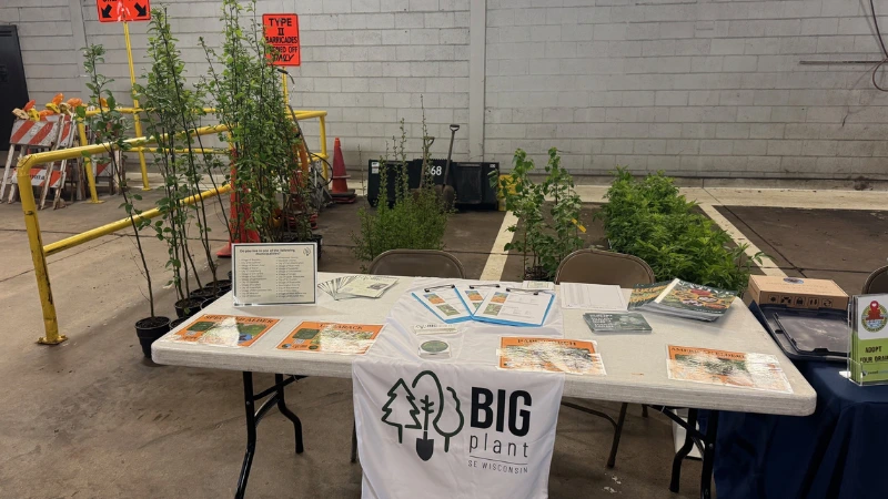 a table event giving away free trees