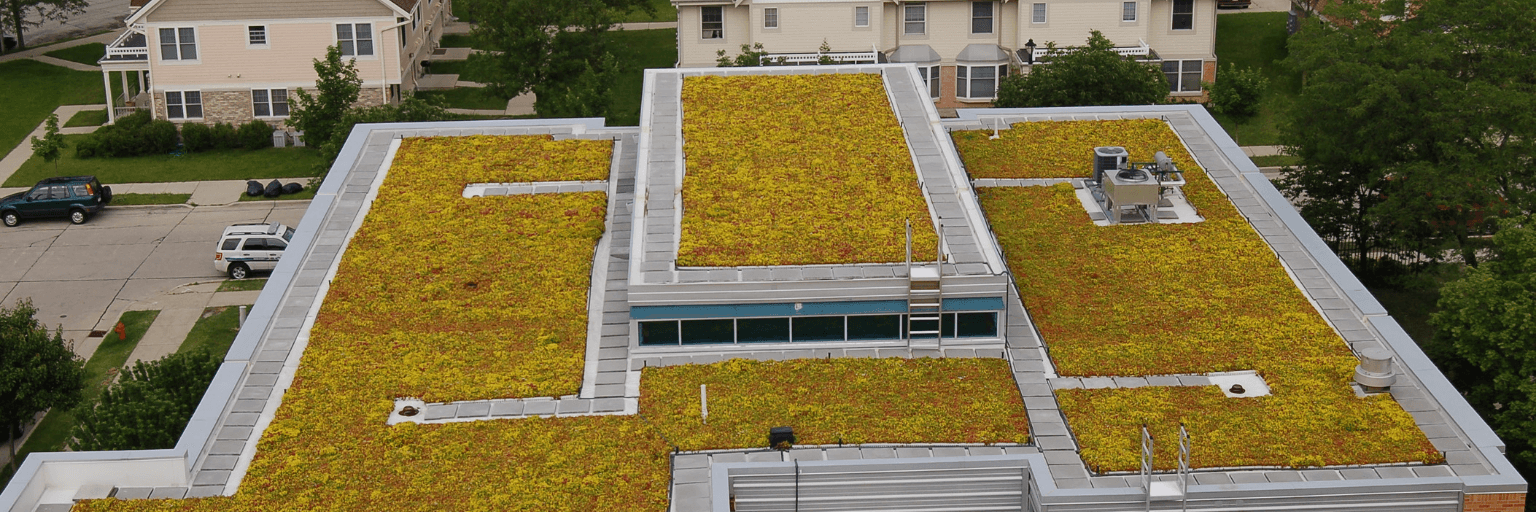 Green roof planted on a building to hold rainwater.