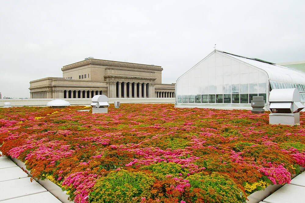 Milwaukee Public Museum green roof