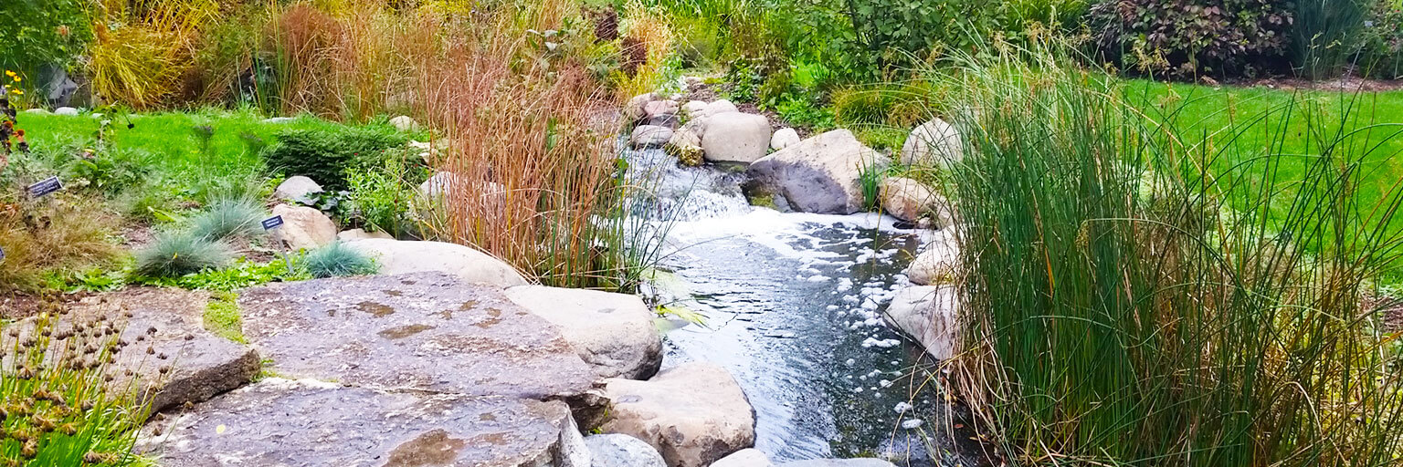 water stream surrounded by vegetation 