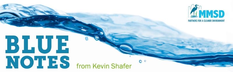 Blue Notes Newsletter from Kevin Shafer