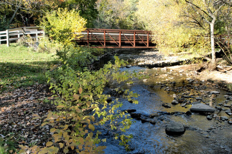Hart Park bridge with trees and rocks
