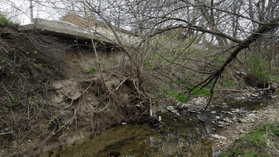 Lyon Creek bank erosion