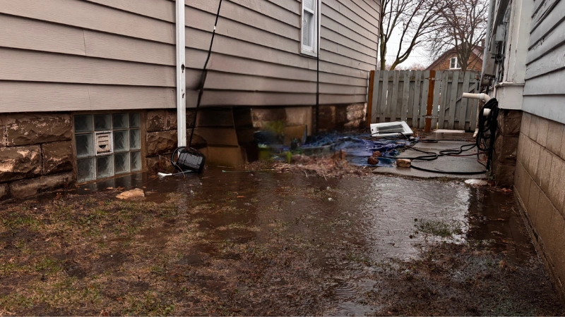Water in a yard