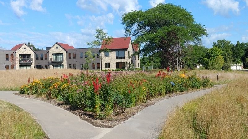 Native Landscaping - Butterfly Garden