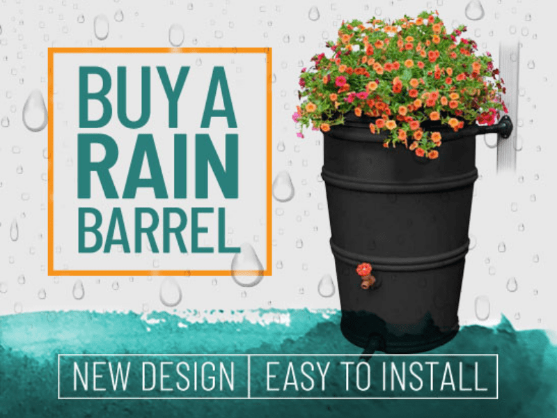 buy a black rain garden graphic