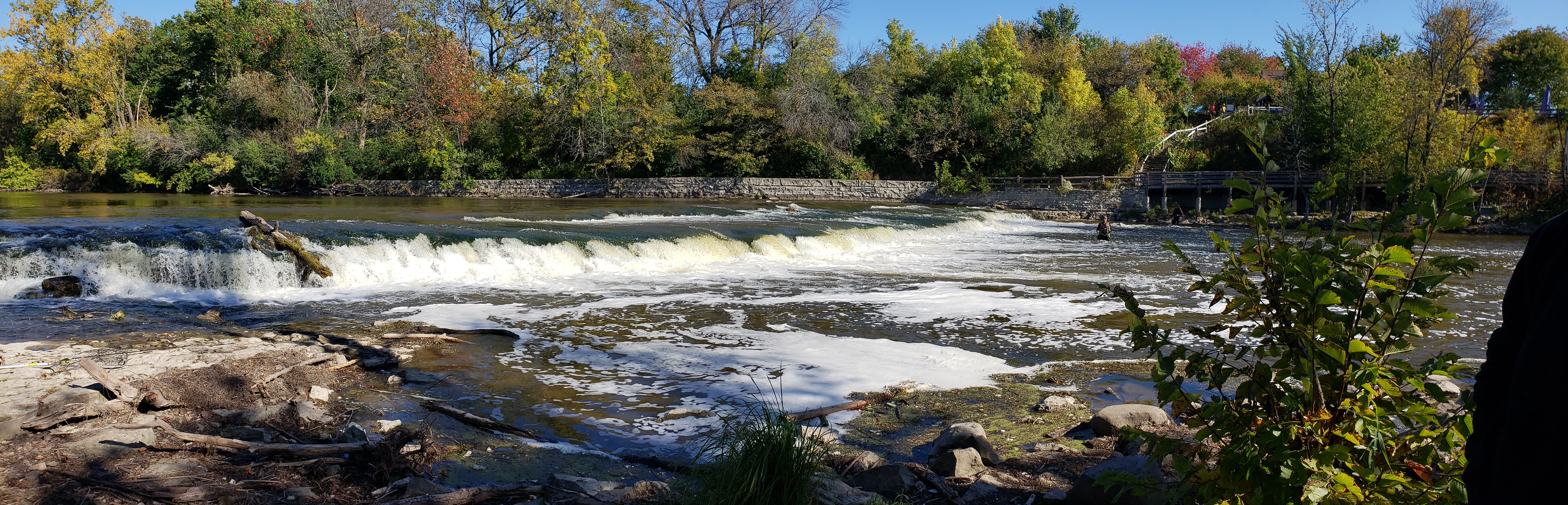 estabrook falls river and trees