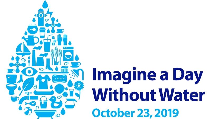 IDWWLogo800x450-min.jpg