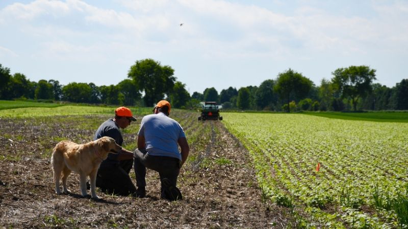 farmfield for working soils