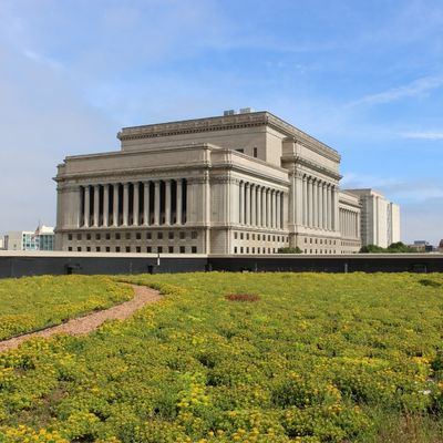 Main_Library_Green_Roof_2_MPL_400_x_400_px-min_1.jpg