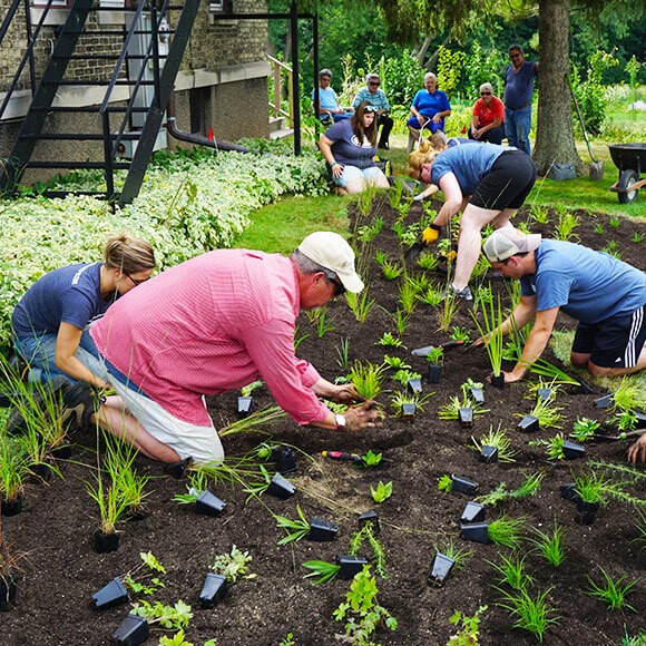 Planting a Rain Garden